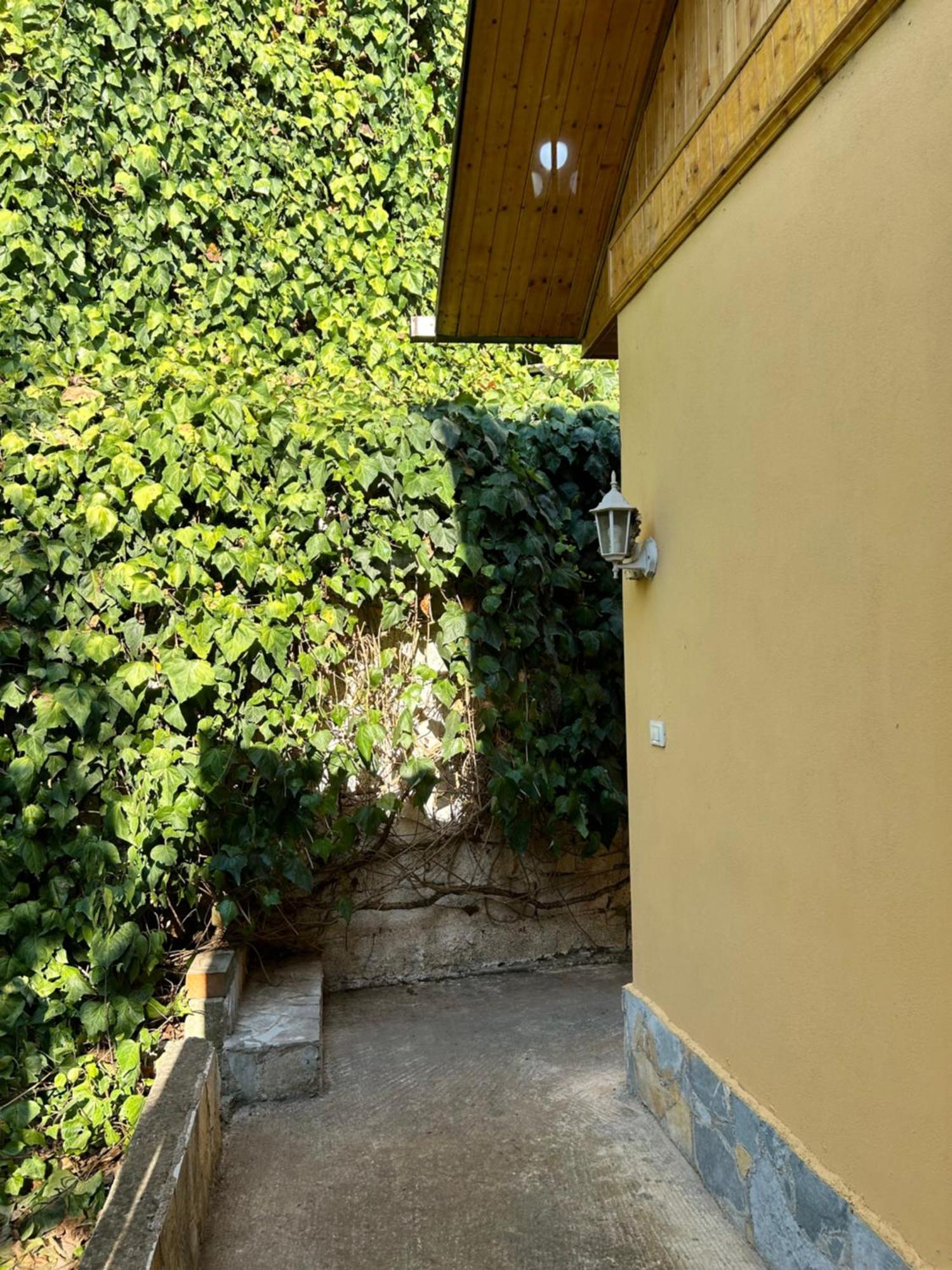 D1 Hostel Tirana Exterior photo