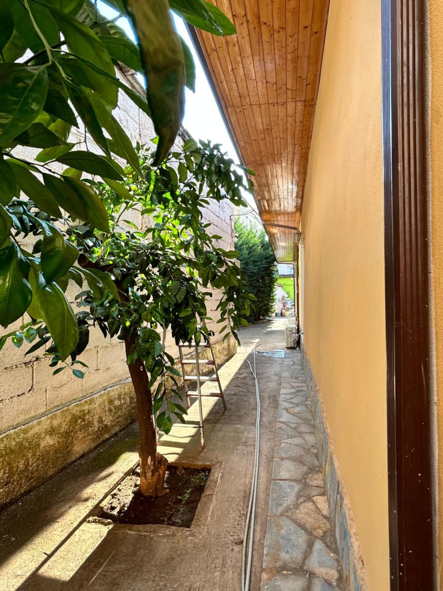 D1 Hostel Tirana Exterior photo